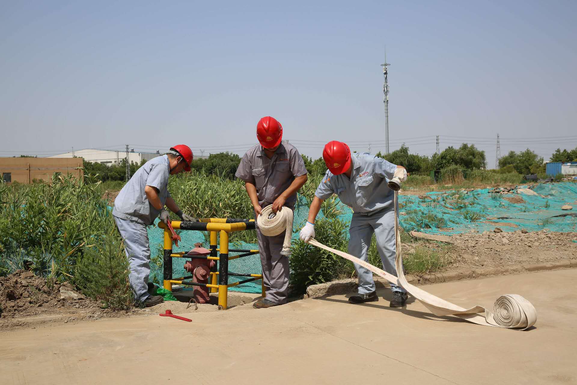 1719311715555416.jpg 1719311715555416.jpg